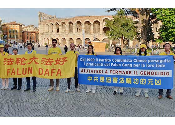意中峰会期间 意大利民众声援法轮功