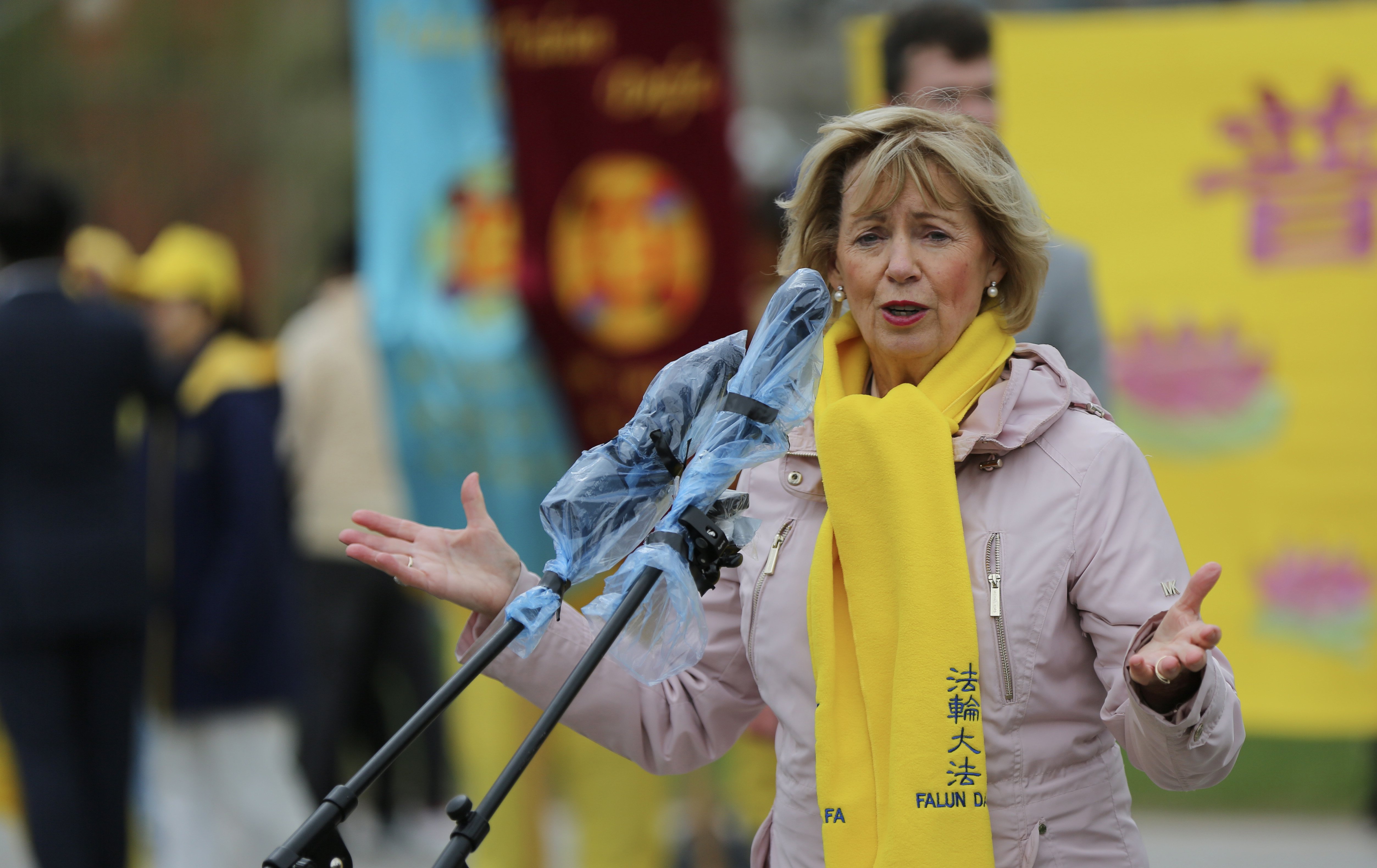 '图3:国会议员朱迪·斯格罗(Judy Sgro)'