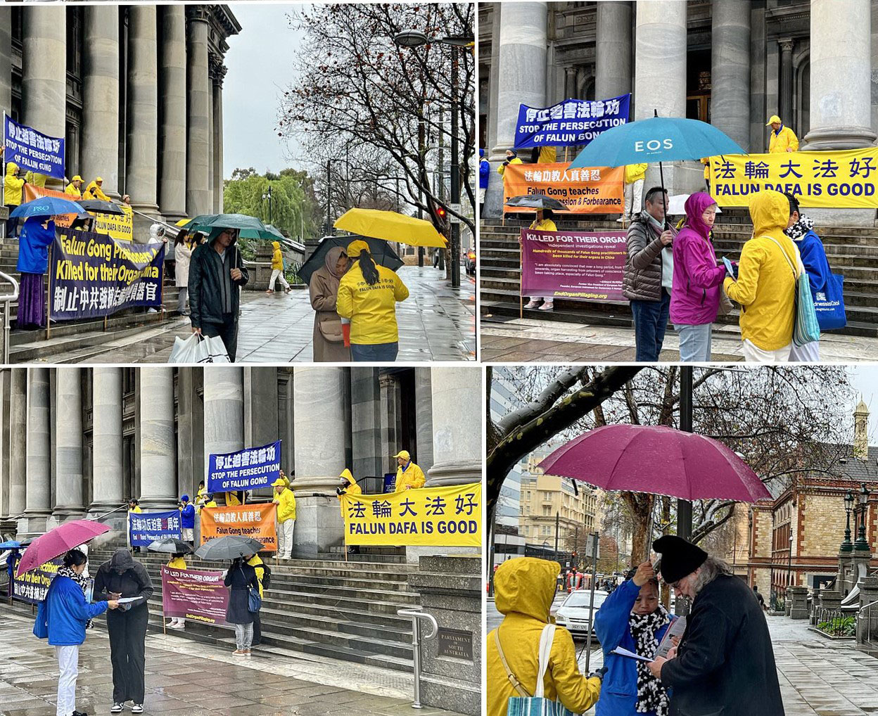 图9:七月十九日,阿德莱德市法轮功学员冒雨在南澳州议会大厦前向过往民众讲真相,民众纷纷签名支持法轮功反迫害。
