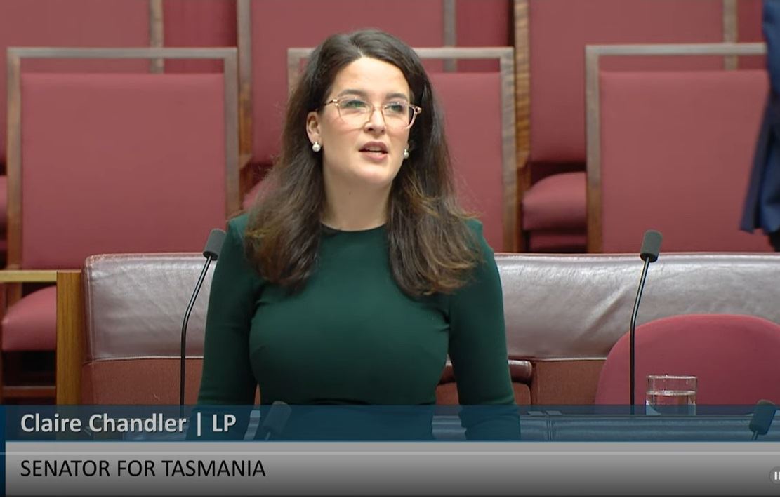 '图3:二零二四年八月十五日,参议员克莱尔·钱德勒(Senator Claire Chandler)在参议院举行的修正案二读辩论会上发言。(澳洲参议院网站视频截图)'