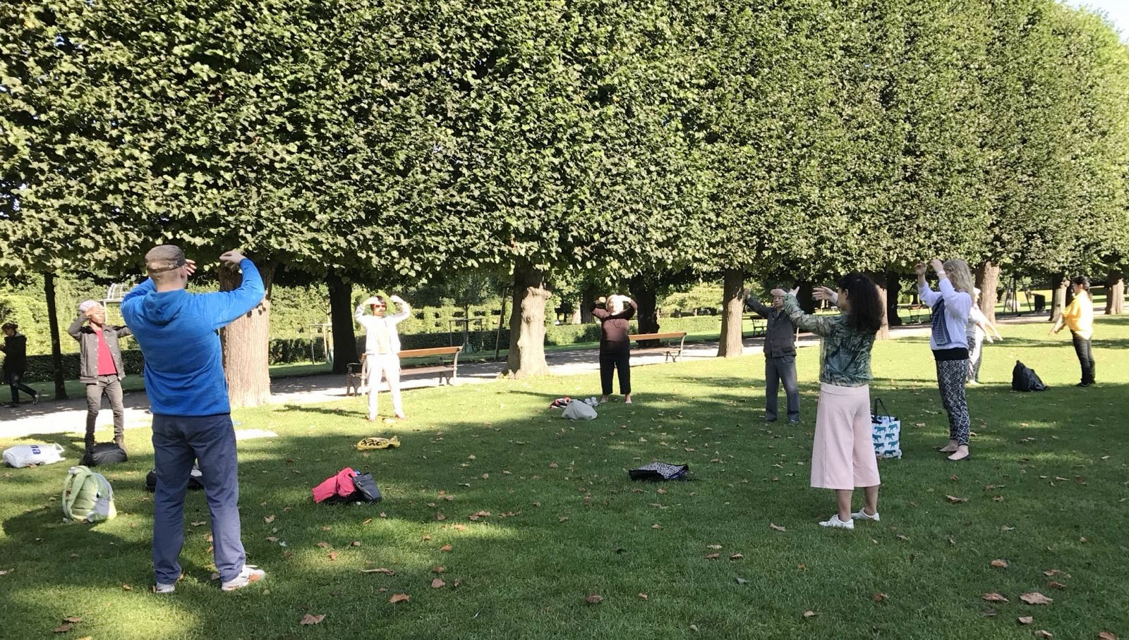 图1:丹麦学员在哥本哈根国王公园炼功,恭祝师父中秋佳节快乐!