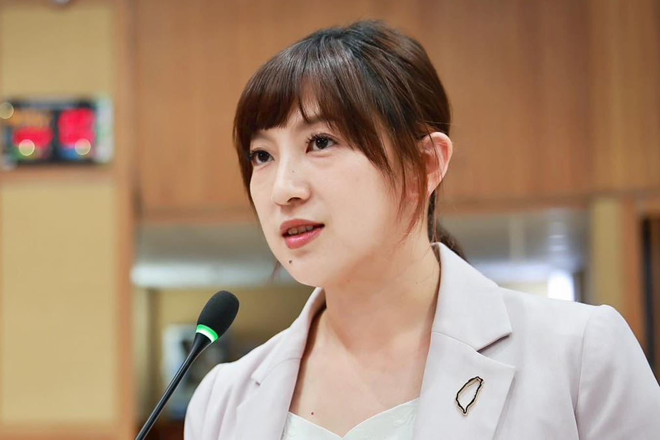 '图8:新北市议员陈乃瑜'