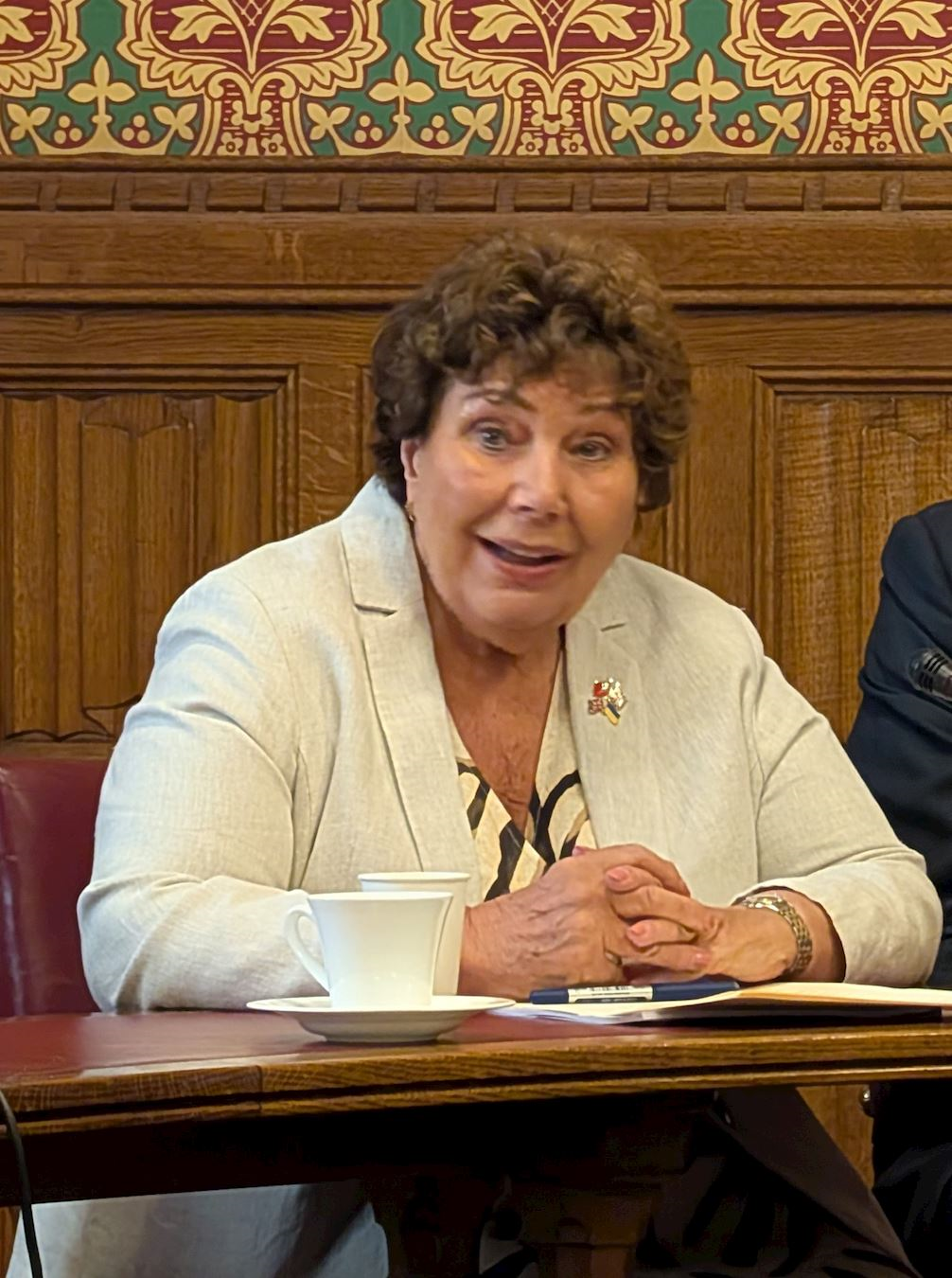 '图5:玛丽·林默议员(Marie Rimmer CBE MP)'