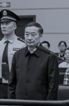 '张祖林受审'
